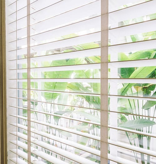 Small DC Gear Motors