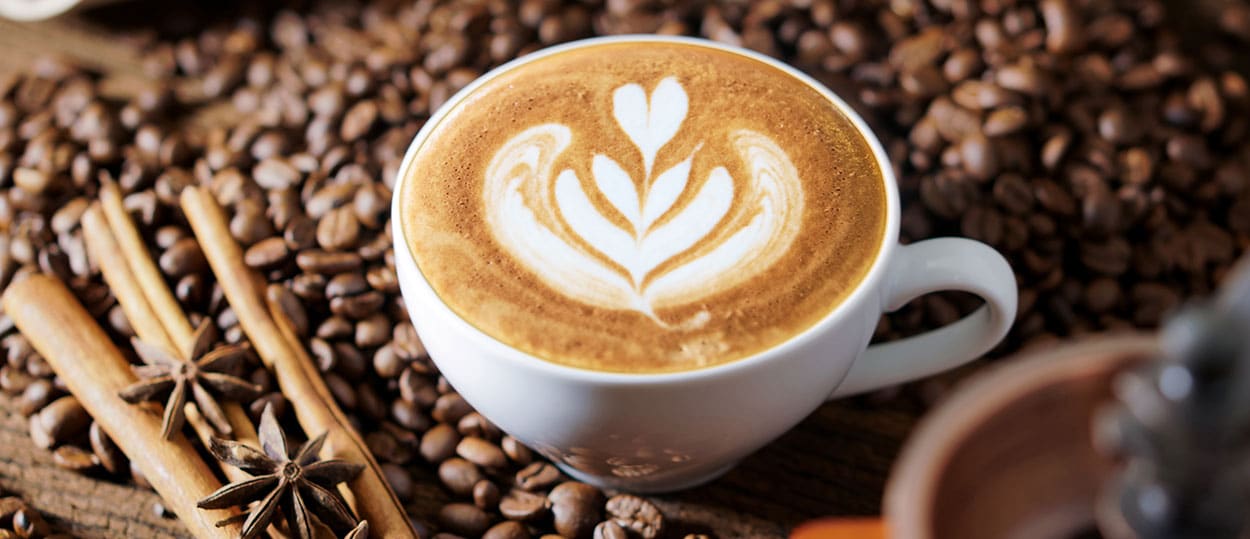 Coffee Machine Gearmotor