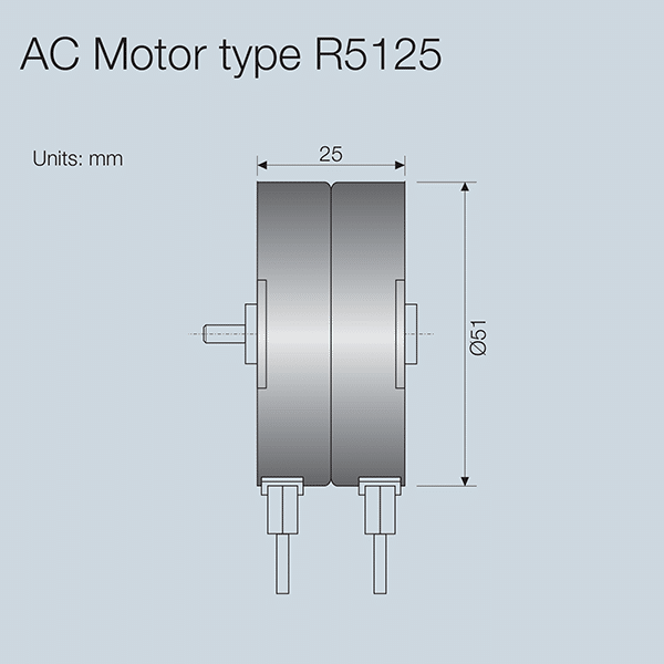 Small AC Motor